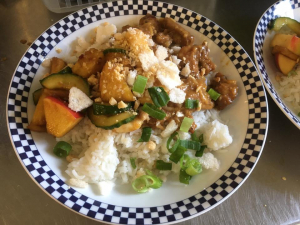 Zondag 27/8: Kipblokjes in pindasaus, met rijst en roedjak